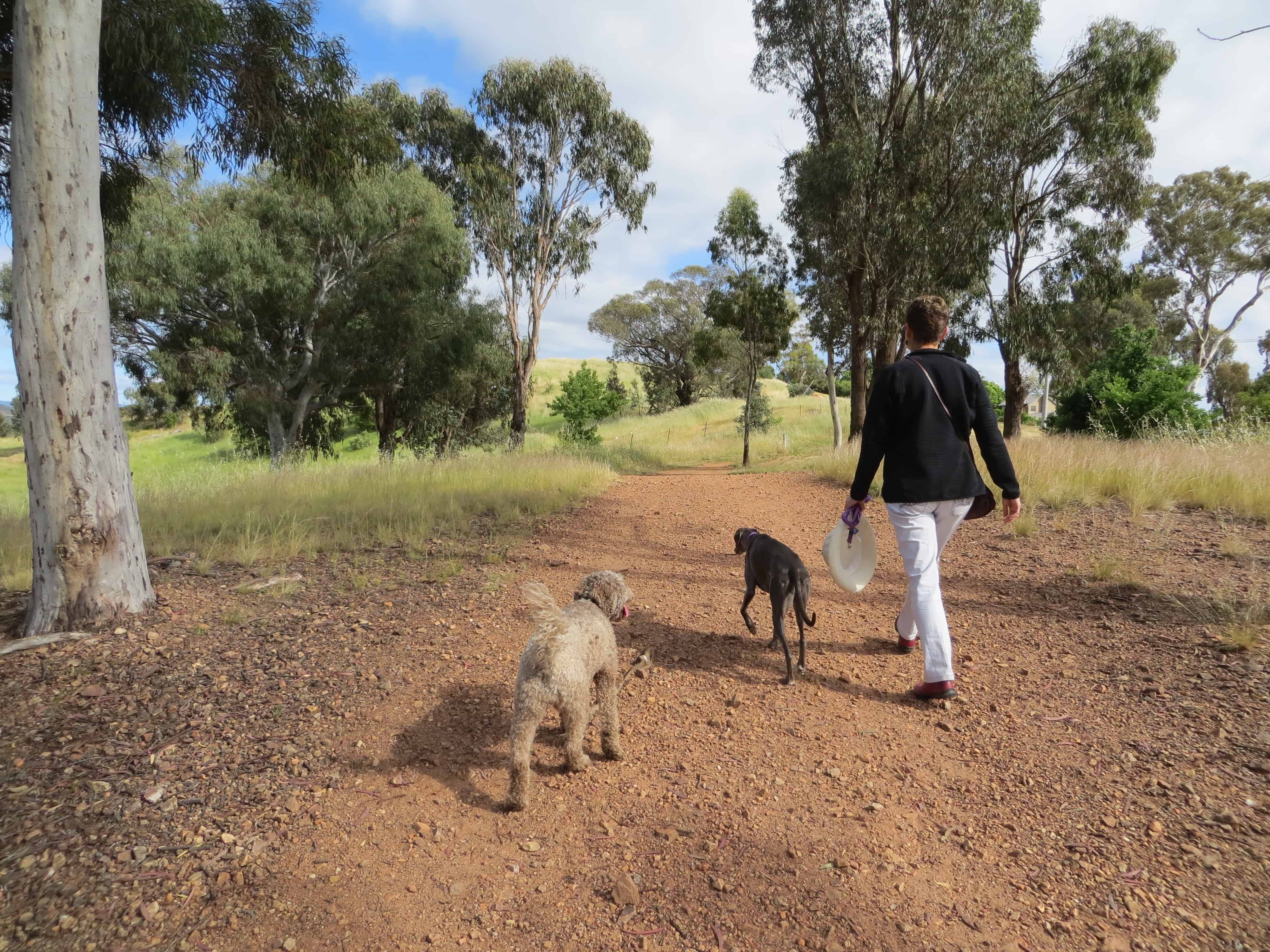 Curtin off leash area