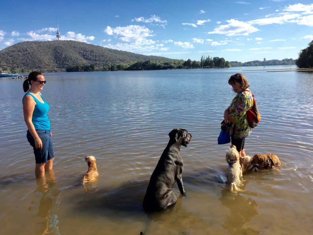 yarralumla21meetupswimtower