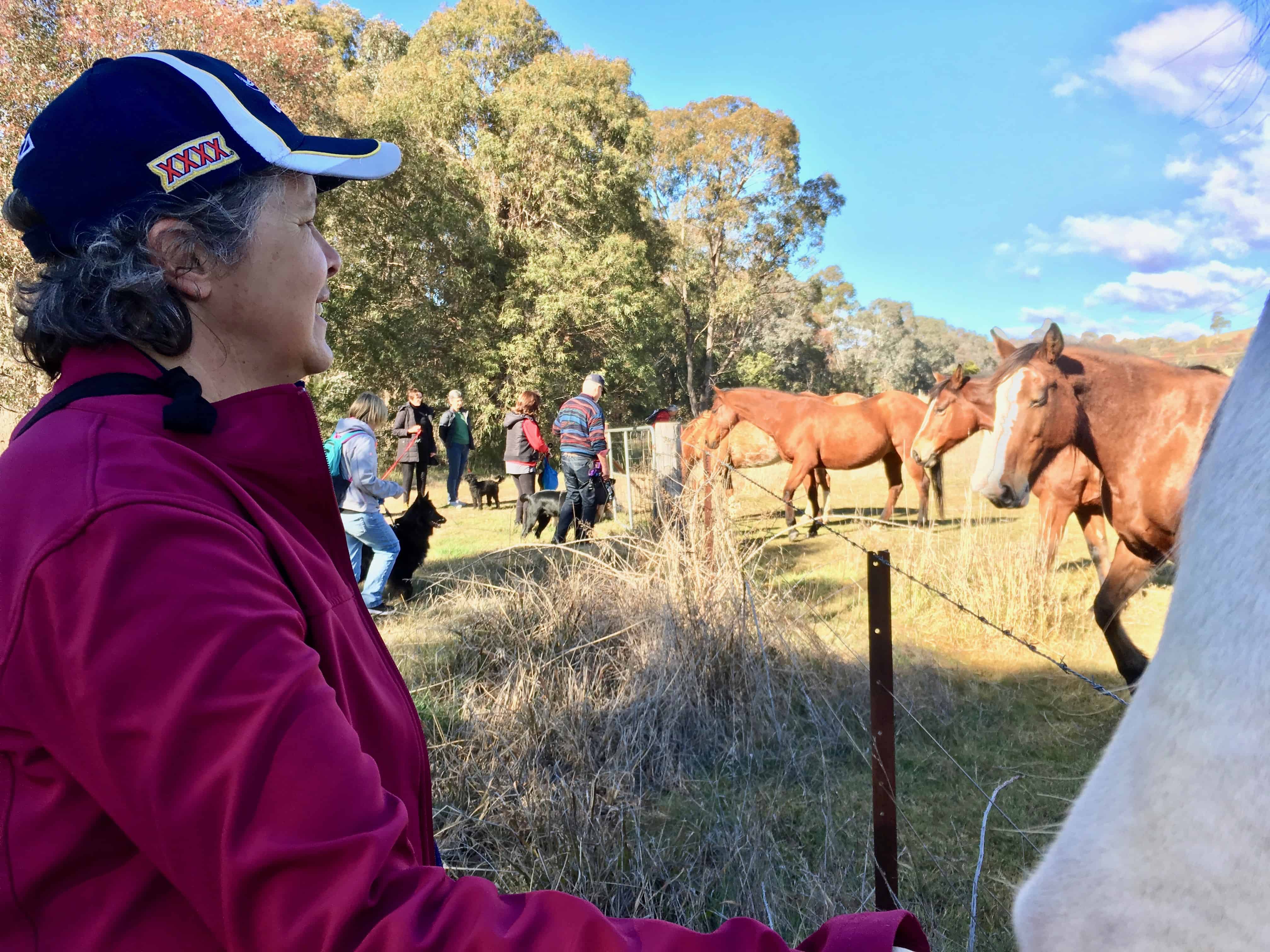 curtin21meetuphorse