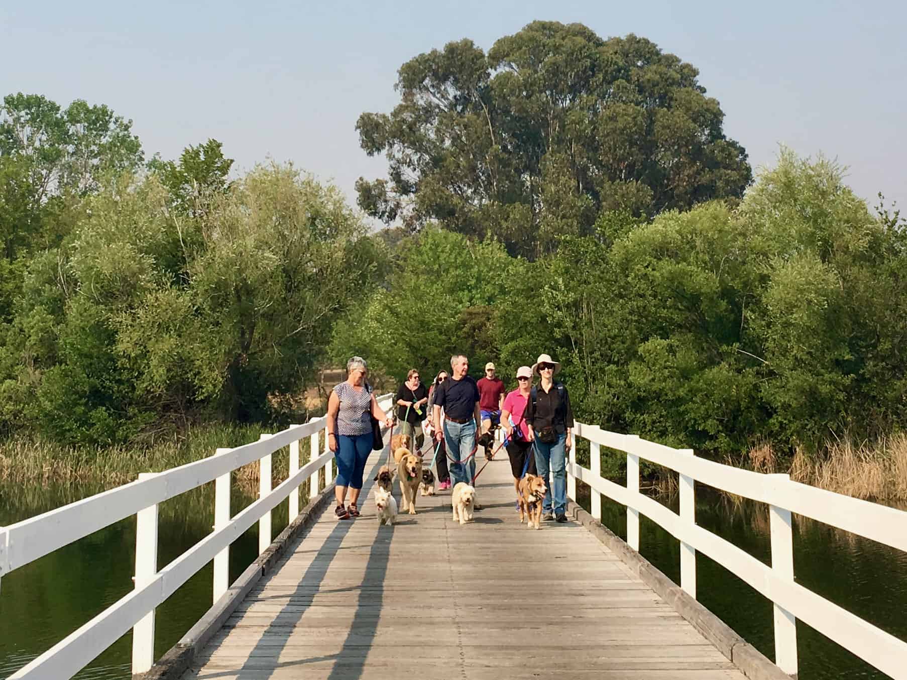 Yarralumla bridges