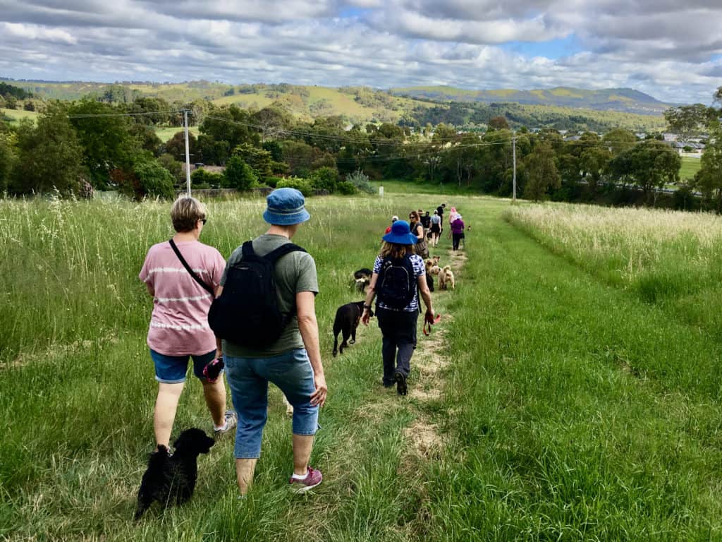 Off-leash heaven