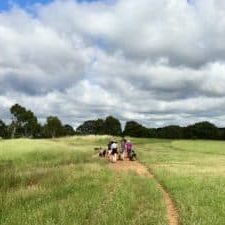 Spectacular parks in Belconnen