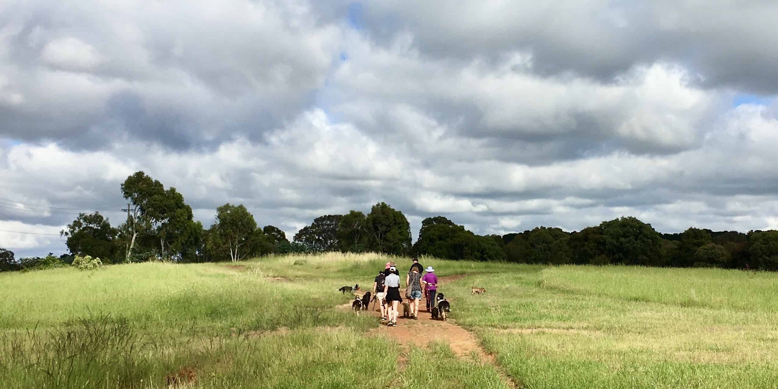 Spectacular parks in Belconnen