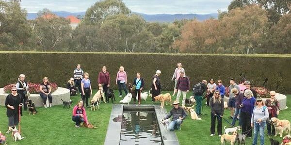 Gardens at Parliament House