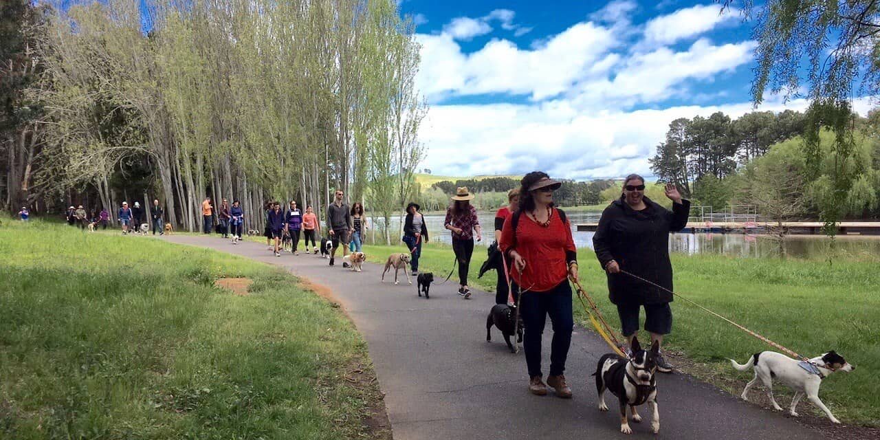 Beautiful paths in Yarralumla